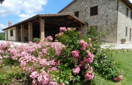 Loreto Apartment | Discover THE GRAIN in the Beautiful Assignano Countryside
