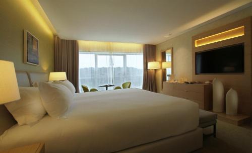 San Rafael Hotel | Experience The Grand Hotel: 5-Star Oceanfront Retreat