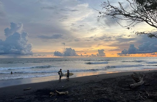 El Gigante Hotel | Experience The Grand Mango Hotel with Ocean Views & Pets Welcome