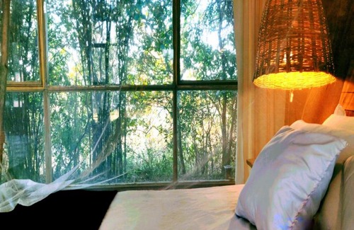 Vikarabad Resort | Experience Nature at The Grass Walk Jungle Lodge