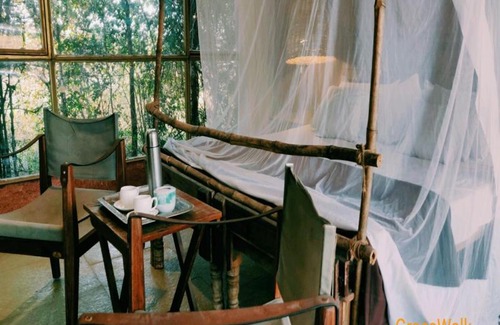 Vikarabad Resort | Experience Nature at The Grass Walk Jungle Lodge