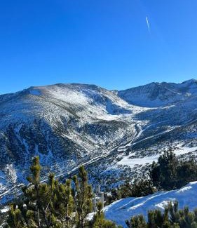 Borovets Apartment | Exceptional The Green Apartment: Pet Friendly & Pool Access