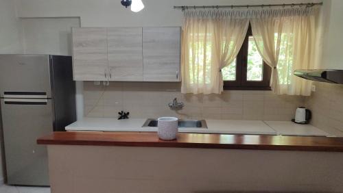 Agios Minas Apartment | Discover Ο ΚΉΠΟΣ ΣΤΗΝ ΑΓΊΑ ΒΑΣΣΑ: Family & Pet Friendly