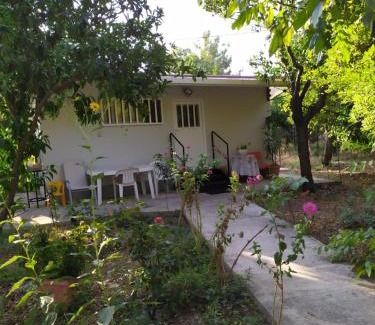 Agios Minas Apartment | Discover Ο ΚΉΠΟΣ ΣΤΗΝ ΑΓΙΑ ΒΑΣΣΑ: 10/10 Rated Retreat