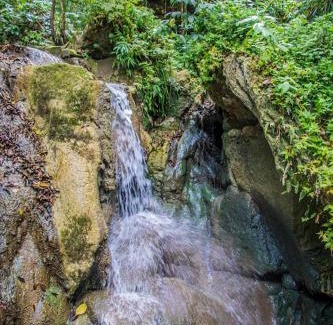 Mammee Bay Villa | Explore The Hamilton's Nature Villa: Family-Friendly Retreat