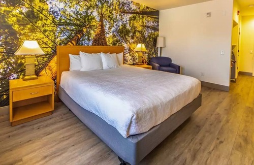 Hanford Hotel | Relax at Comfort Inn Hanford Lemoore with Great Amenities