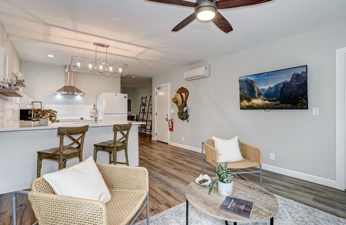 Downtown Dunedin Apartment | Explore Downtown Dunedin: Oceanfront Stay with Spa & Breakfast