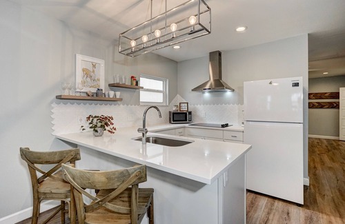 Downtown Dunedin Apartment | Explore Downtown Dunedin: Oceanfront Stay with Spa & Breakfast