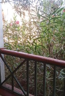 Manyoni Apartment | The Hein Sanctuary