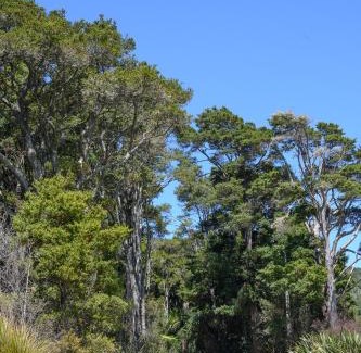 Kaipara Flats House | Family-Friendly Retreat at The Hen House - Rated 9.5/10