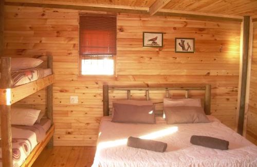 Uitenhage House | Explore The Hexagon Wildlife Conservation: Pet-Friendly Retreat