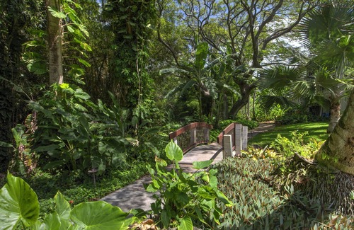Poipu Condo | Discover the Hidden Gem of Poipu with Oceanfront Bliss