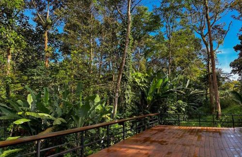 Ipoh Other | The HIJAU Camp & Cabin