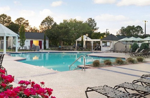Berkeley Condo | Discover The Historic Powhatan: 1BR Mini Suite Oasis