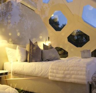 Storms River Other | The Hive - Cloud at Misty Mountain Reserve