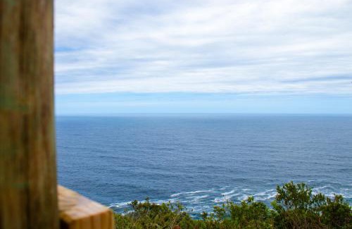 Storms River Other | The Hive - Jungle at Misty Mountain Reserve