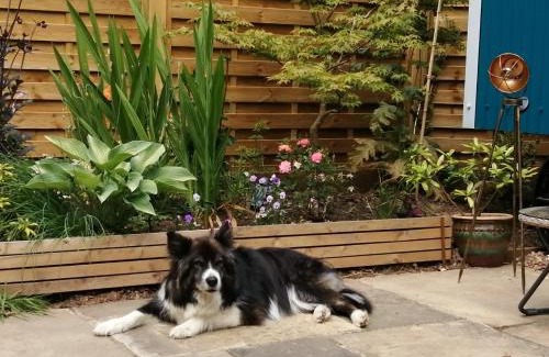 Holcombe Burnell Other | Pet-Friendly Retreat at The Holcombe Hut, Ridgefield House