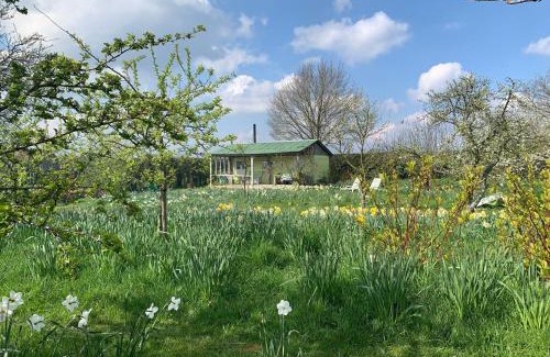 Stuppington House | Family-Friendly Retreat at The HoneyPot - Rated 8.5/10