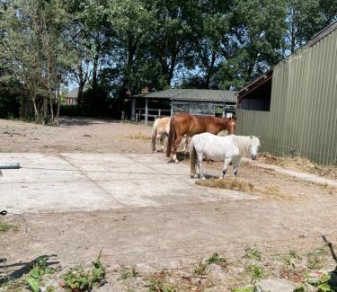 Garnwerd Bed & Breakfast | Family-Friendly Stay at The Horse Farm Retreat