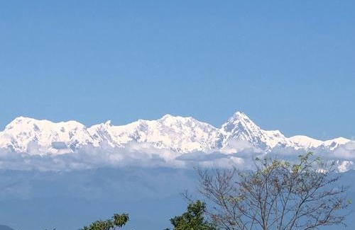 Bandipur Hotel | Budget-Friendly Stay at The Hotel: Rave Reviews & Amenities