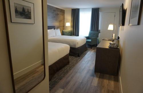 Queens Square Hotel | Discover The Hotel on Pownal: Pet Friendly & Family Welcoming