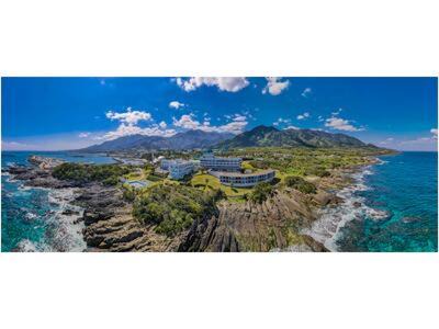 Miyanoura Hotel | Discover THE HOTEL YAKUSHIMA: Ocean & Forest Retreat