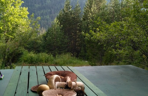 Zabljak House | Discover the Beauty of Durmitor: A Forest Retreat