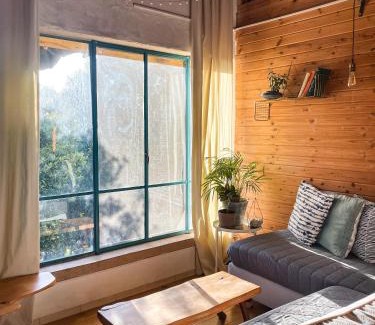Amirim House | Experience The House in the Oaks: Family & Pet Friendly Retreat