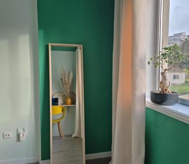 Oliveira do Douro House | Budget-Friendly Stay at The House of Cats with Kitchen Access