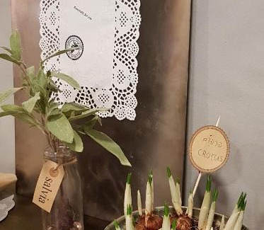 Netaim Hotel | Discover Taly & Erez: Guest Rated 9.2 for Your Stay
