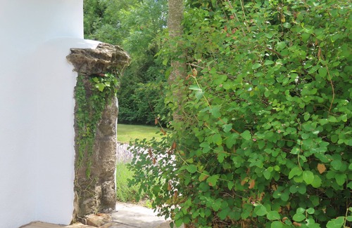 Woodford Cottage | Pet-Friendly Retreat at The Humble Daisy in Galway