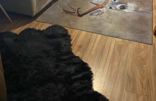 Dunlap Cabin | The Hunting Cabin is on 10.5 secluded wooded acres