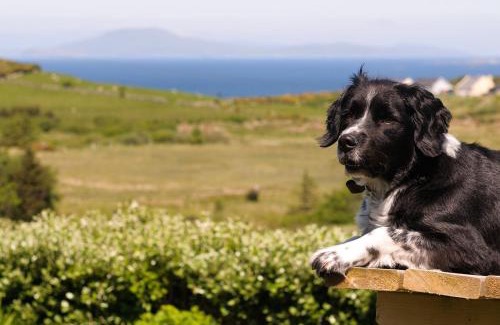 Tullycross Apartment | Pet-Friendly Retreat at The Hut at Baywatch B&B