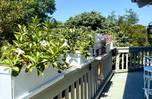 Surfside Beach Condo | The Hut at the beach
