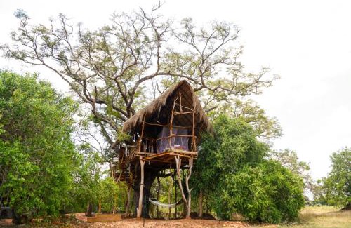 Karuwalagaswewa Cabin | Discover The Ibis - Wilpattu: Family-Friendly Escape
