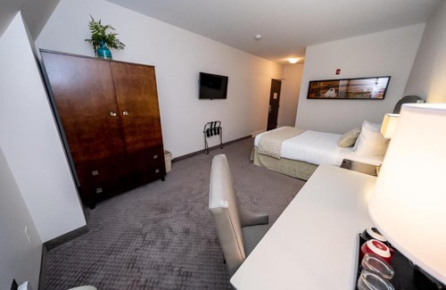 Faribault Hotel | Inviting Inn at Shattuck - St. Mary's with Pet-Friendly Options