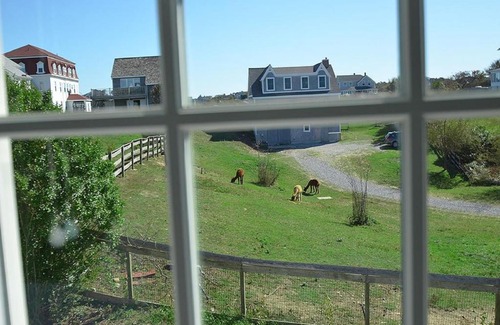 Block Island Hotel | Experience The Inn at Spring House: Guest Rated 9/10 Deal