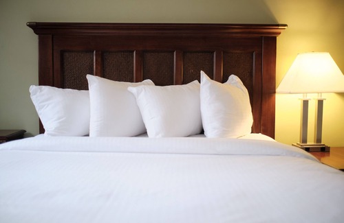 Midtown Hotel | Eco-Friendly Comfort at The Inn on Ferry Street - Rated 9.6