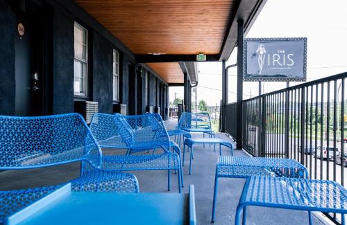 Berry Hill Hotel | Discover Family-Friendly Stays at The Iris Motel