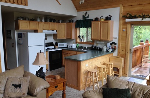 Alma Cabin | Secluded Irish Rose: Guest Rated 10/10 in Colorado Bliss