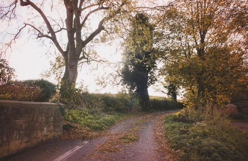 Crawcrook House | Experience The Iron Chapel: Pet & Child Friendly Retreat