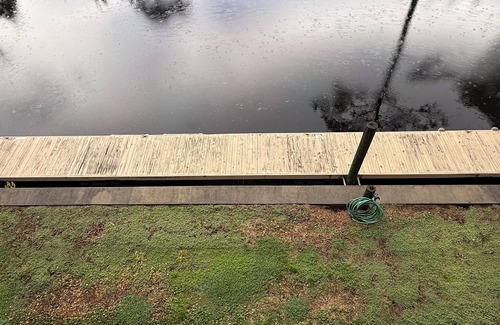 Suwannee Condo | Discover The Islander: Family-Friendly with Pool Access