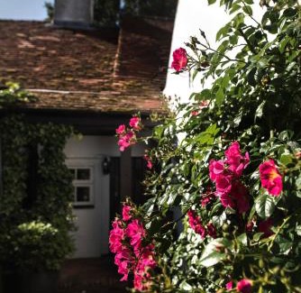 Colchester Bed & Breakfast | Discover The Jasmine Room: Pet-Friendly Paradise Rated 9.8
