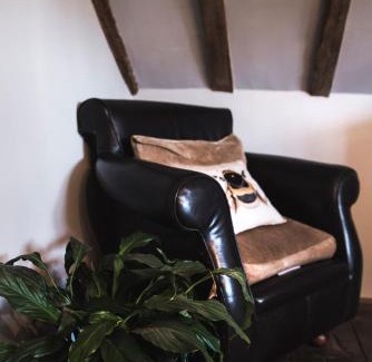 Colchester Bed & Breakfast | Discover The Jasmine Room: Pet-Friendly Paradise Rated 9.8