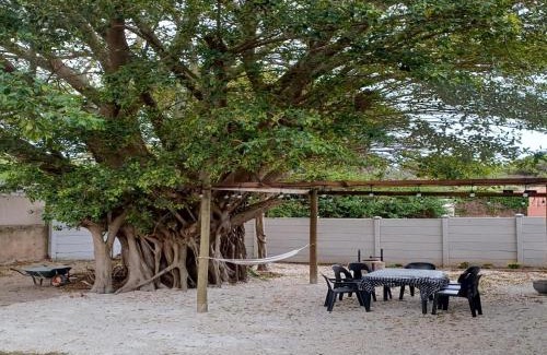 Paradise Beach Villa | Welcoming The Jbaynian Guesthouse with Oceanfront Views