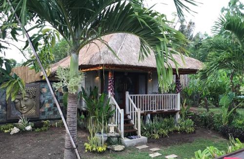 Mushroom Bay Resort | Experience The Jingga Villas: Oceanfront Bliss Awaits