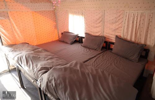 Sirala Other | Experience Jungle Mist Resort: Pet-Friendly with Pool Access
