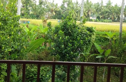 Melayang House | Budget-Friendly Stay at The Junjungan Bungalow with Pool