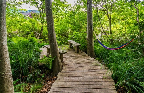 Regional District of Nanaimo Apartment | Experience The Lagoon Suite at The Estuary Inn - Guest Rated 10/10