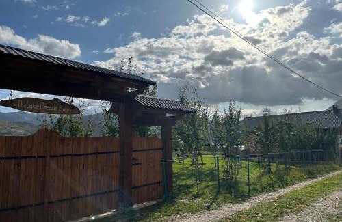 Plav House | Experience The Lake Breeze Bay: Family-Friendly Retreat